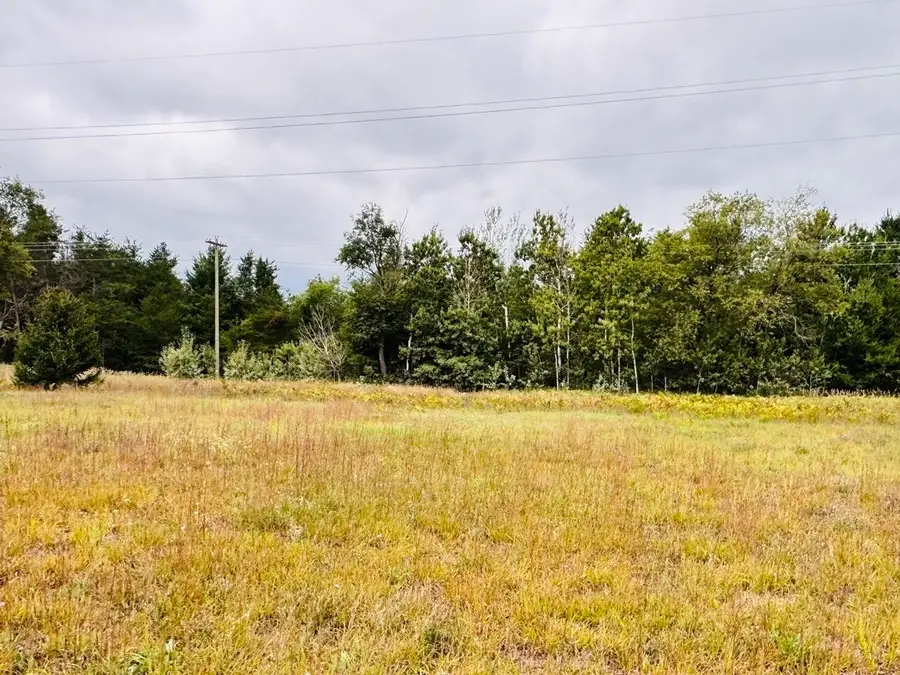 9001 NE Cumberland, Mancelona, MI 49659 - Image #2