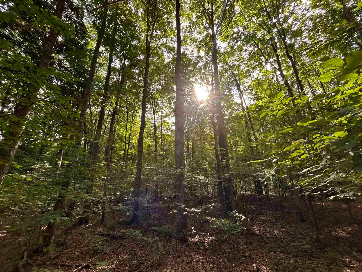 000 Langs, Interlochen, MI 49643 - Image #1