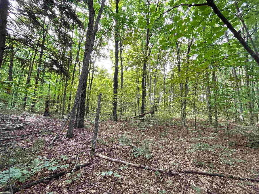 000 Langs, Interlochen, MI 49643 - Image #2