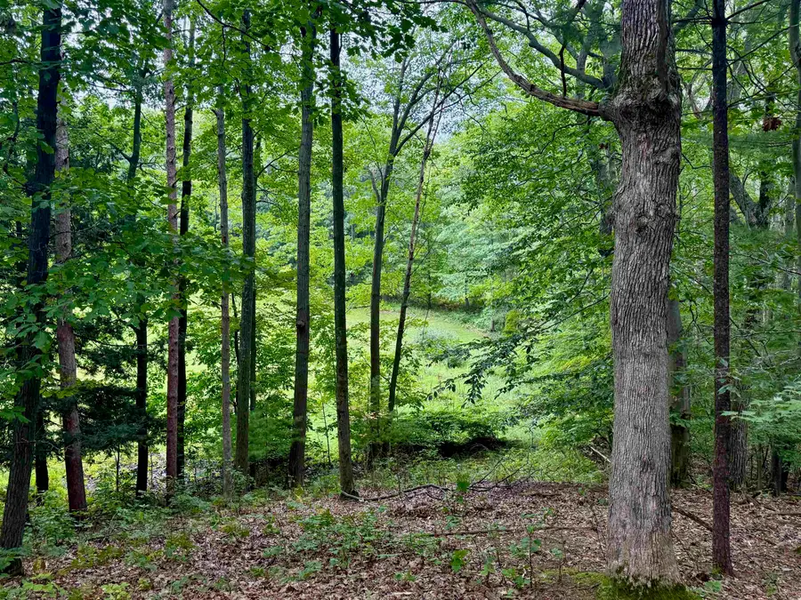 35 Brook Hill Cottages, Glen Arbor, MI 49636 - Image #2