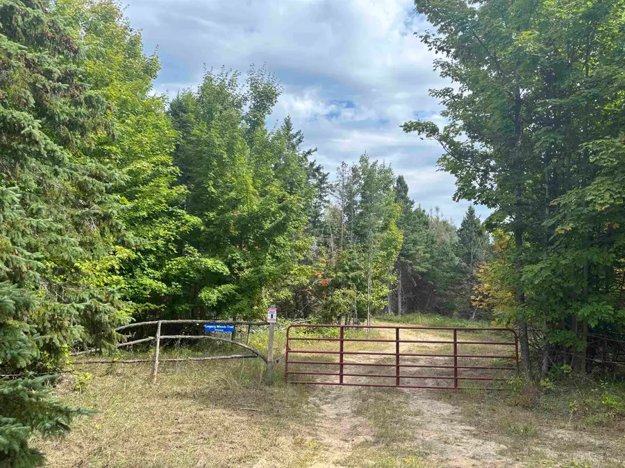 0 Henschell, Fife Lake, MI 49633 - #2