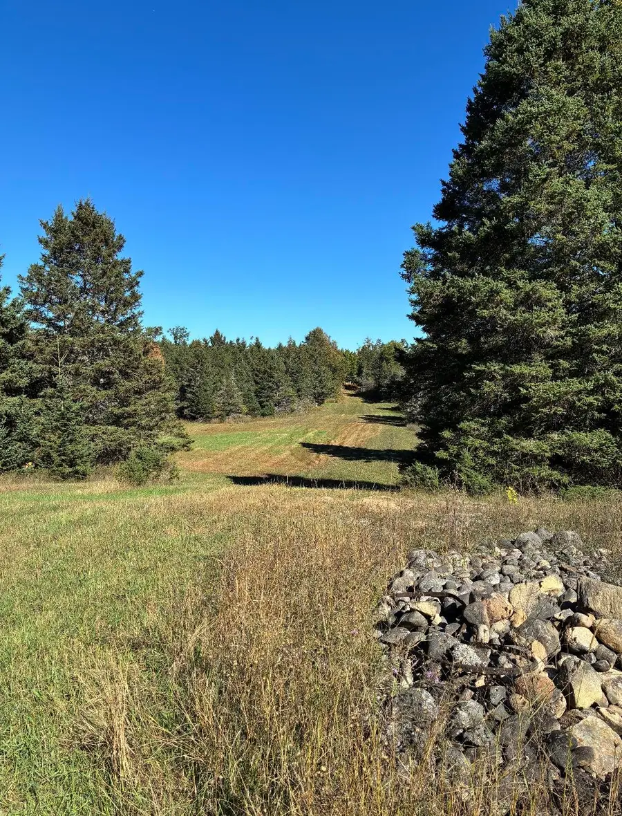 0 Henschell, Fife Lake, MI 49633 - #3