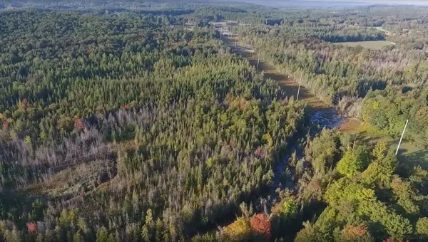 Lots A & B Schuss Mountain, Mancelona, MI 49659