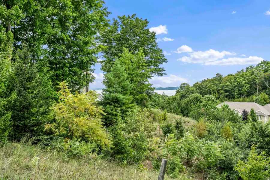 00 Buteo, Traverse City, MI 49684 - Image #3