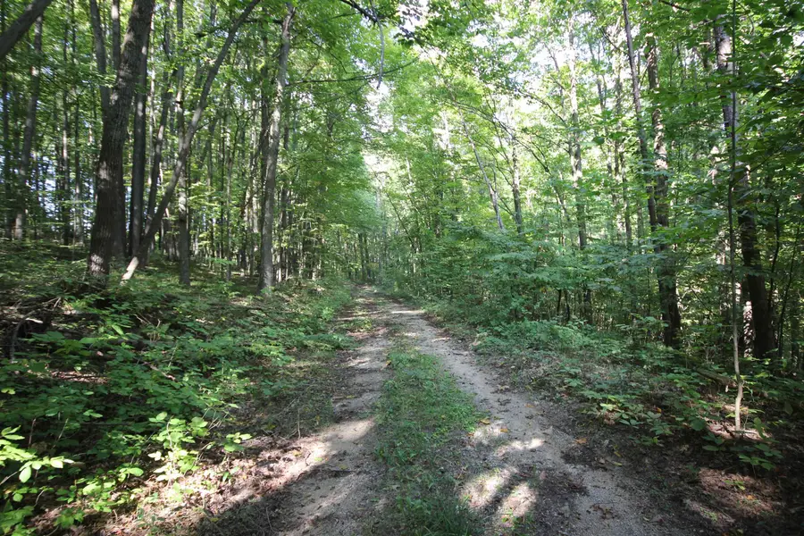 3671 Voice, Kingsley, MI 49649 - Image #2