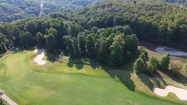 205 Raptor, Bellaire, MI 49615