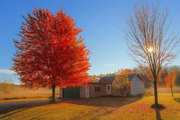 9297 Kingsfield, Kingsley, MI 49649