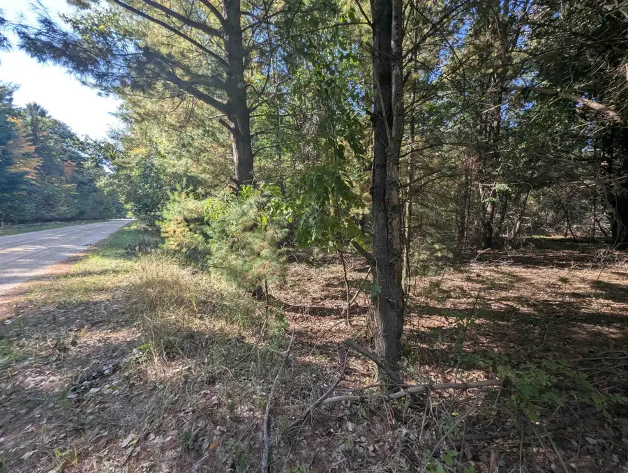 N/A N Forest Lake, Alger, MI 48610 - #3