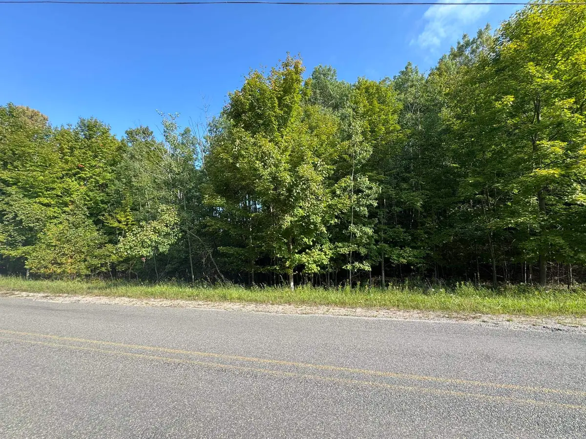 Lot 4 E Old Mountain, Cedar, MI 49621 - #1