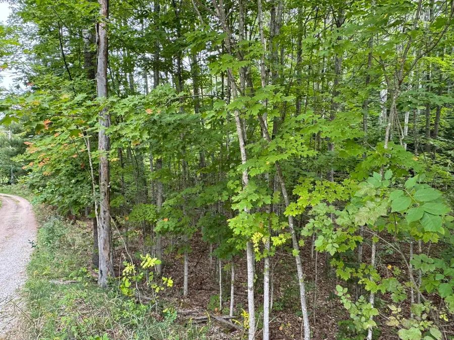 Lot 4 E Old Mountain, Cedar, MI 49621 - #3