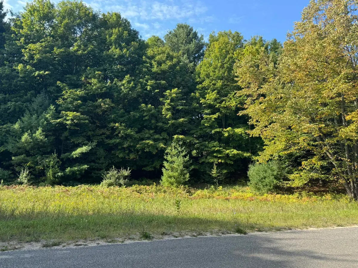 Lot 5 E Old Mountain, Cedar, MI 49621 - #1
