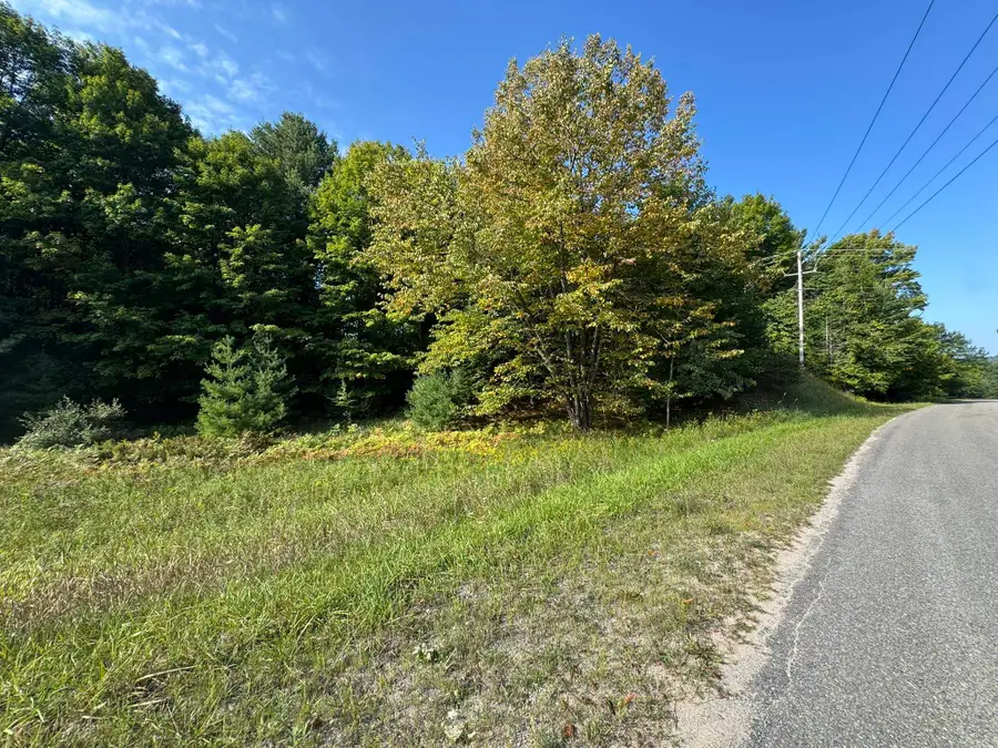Lot 5 E Old Mountain, Cedar, MI 49621 - #3