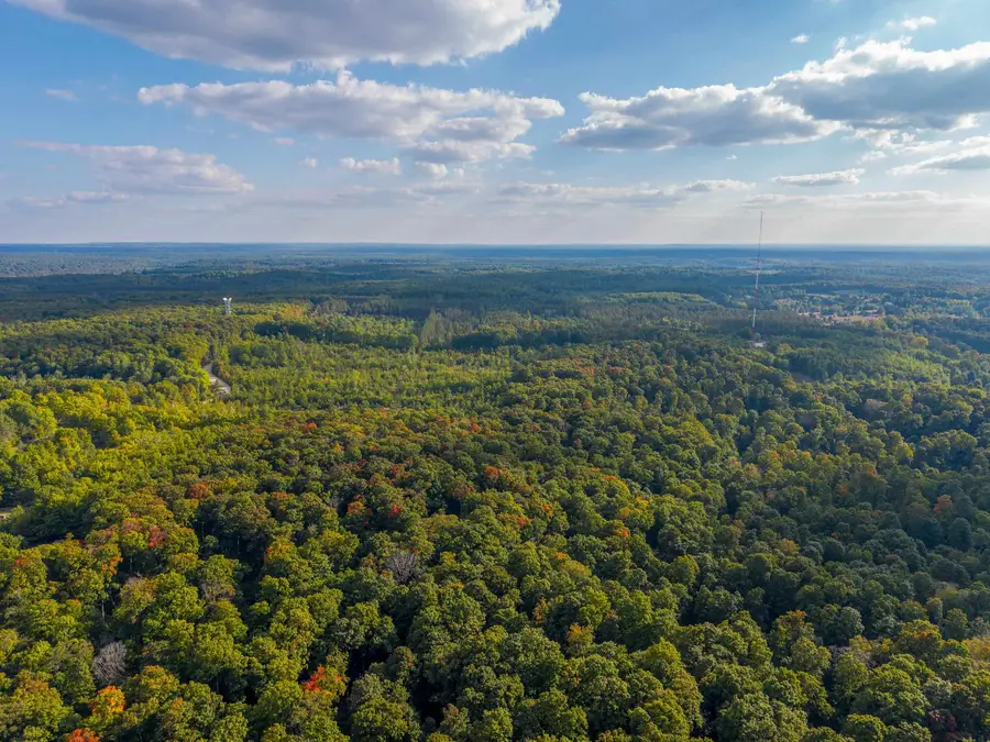 VL 12A NW Walker, Rapid City, MI 49676 - Image #3