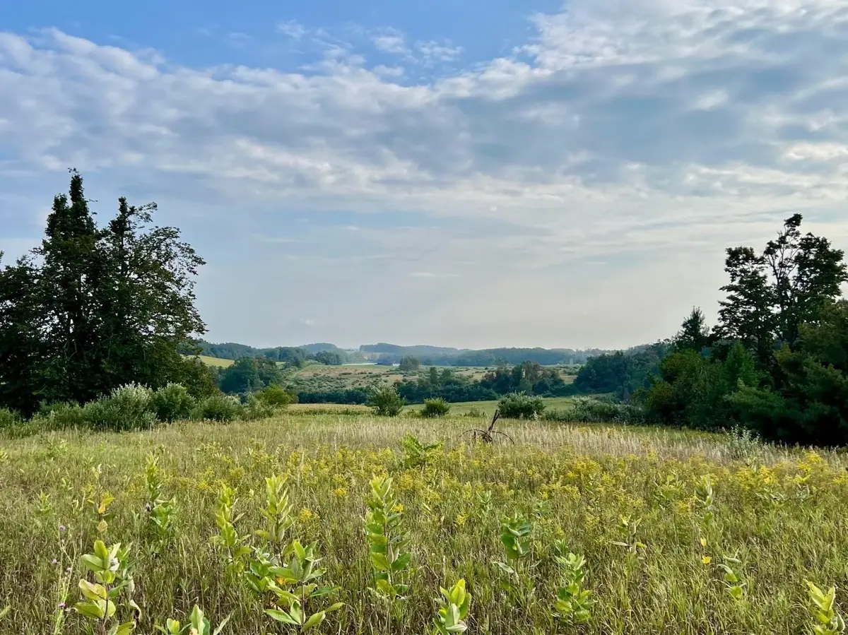 00 Skinner, Ellsworth, MI 49729 - Image #1