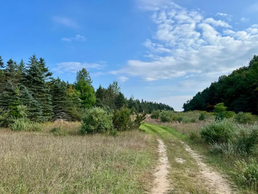 00 Skinner, Ellsworth, MI 49729 - Image #2