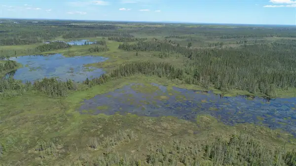 320 Acres Aho, Rudyard, MI 49780