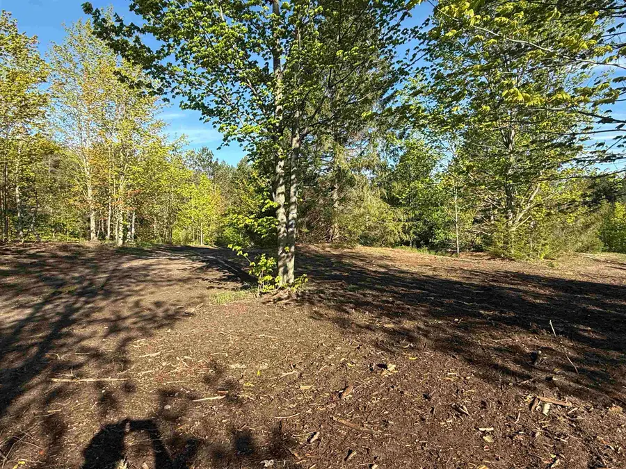 1007 E Solaris, Maple City, MI 49664 - Image #2