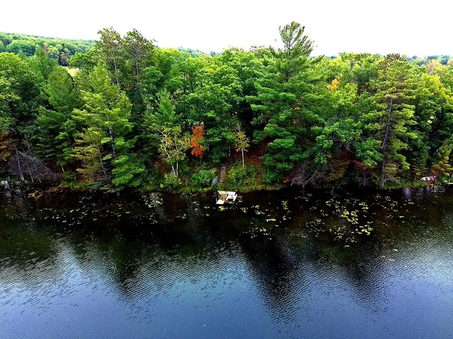 V/L Doll, Lupton, MI 48635 - #2