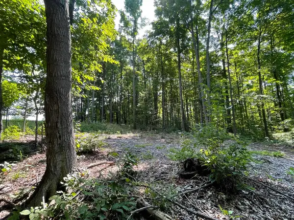 17.3-ACRES N Marsh, Kingsley, MI 49649
