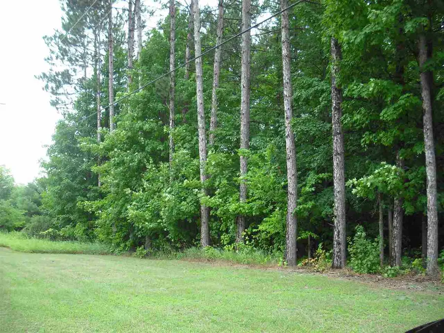 Parcel F3A Jackson Creek, Kingsley, MI 49649 - #2