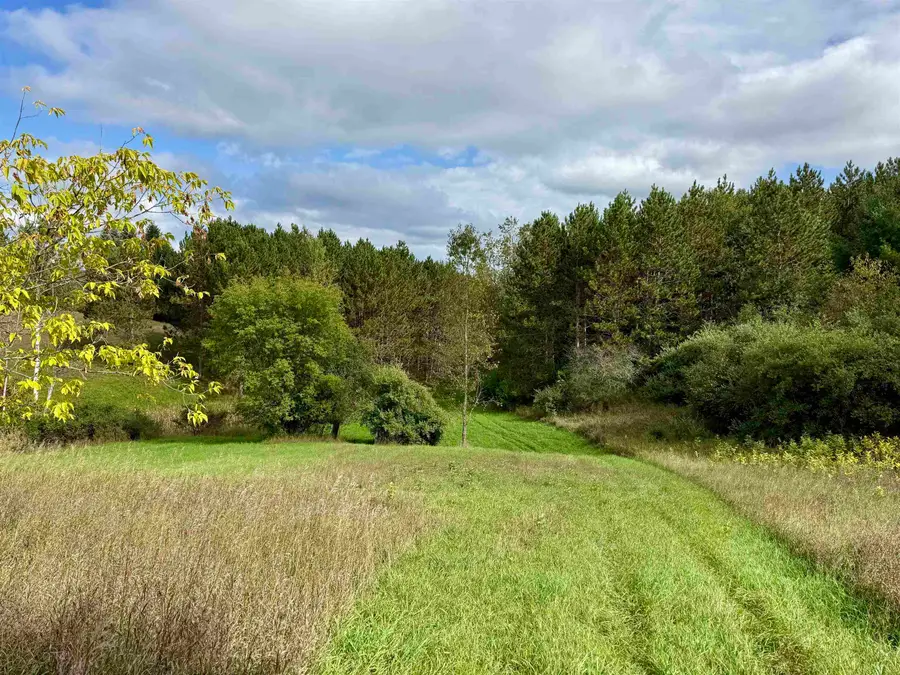 9371 S Kasson, Cedar, MI 49621 - Image #2