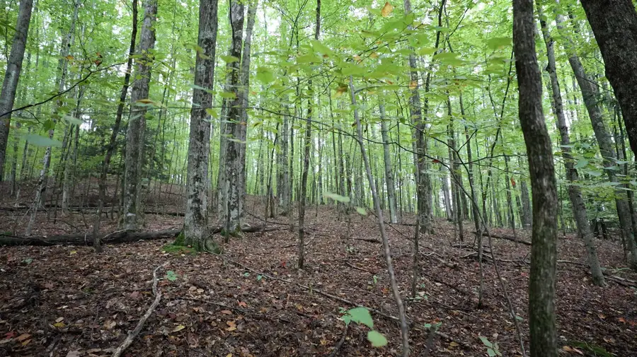 TBD Hoosier Valley, Traverse City, MI 49685 - Image #3