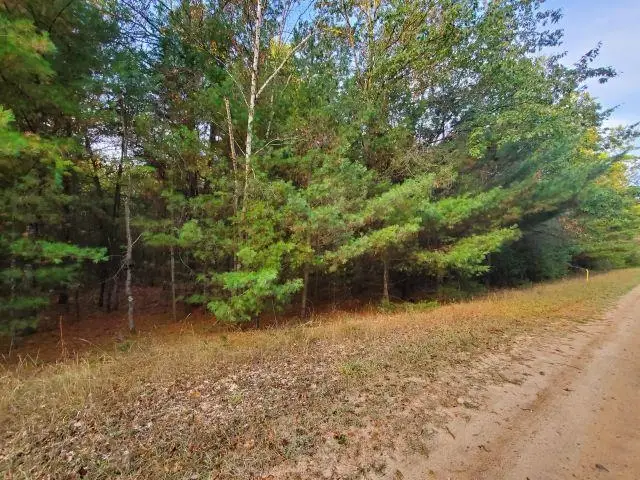 0 Buffalo, Alger, MI 48610 - Image #3