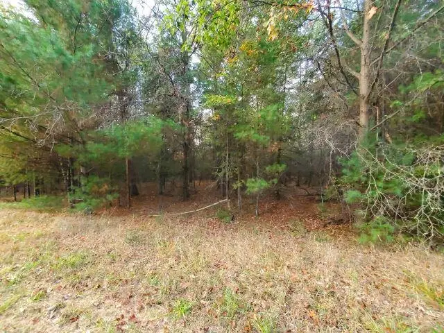 0 Buffalo, Alger, MI 48610 - Image #2