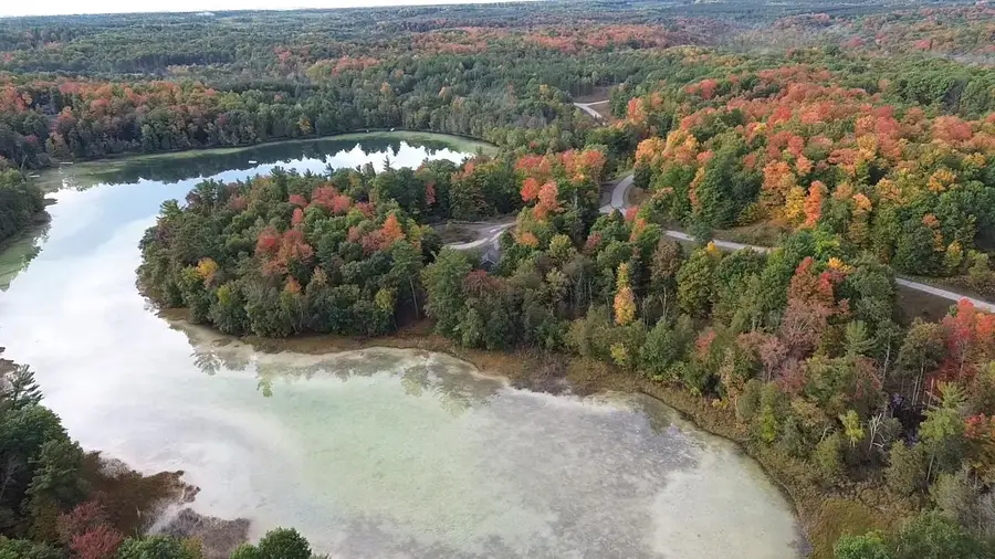 4972 Truax Lake, Williamsburg, MI 49690 - Image #2