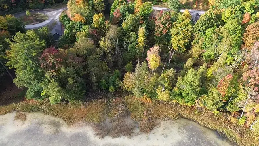 4972 Truax Lake, Williamsburg, MI 49690 - Image #3