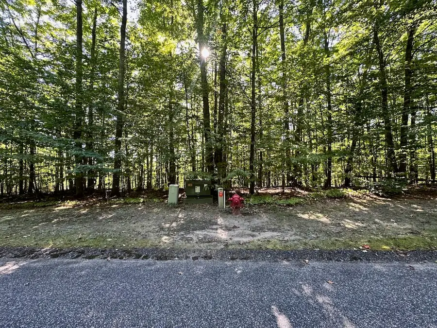 Units 149 & 150 Olympia, Bellaire, MI 49615 - Image #2