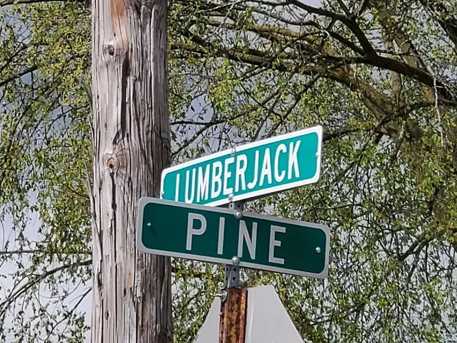 TBD N Lumberjack, Riverdale, MI 48877 - Image #2