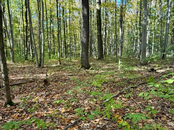 000 Bear, Kalkaska, MI 49646