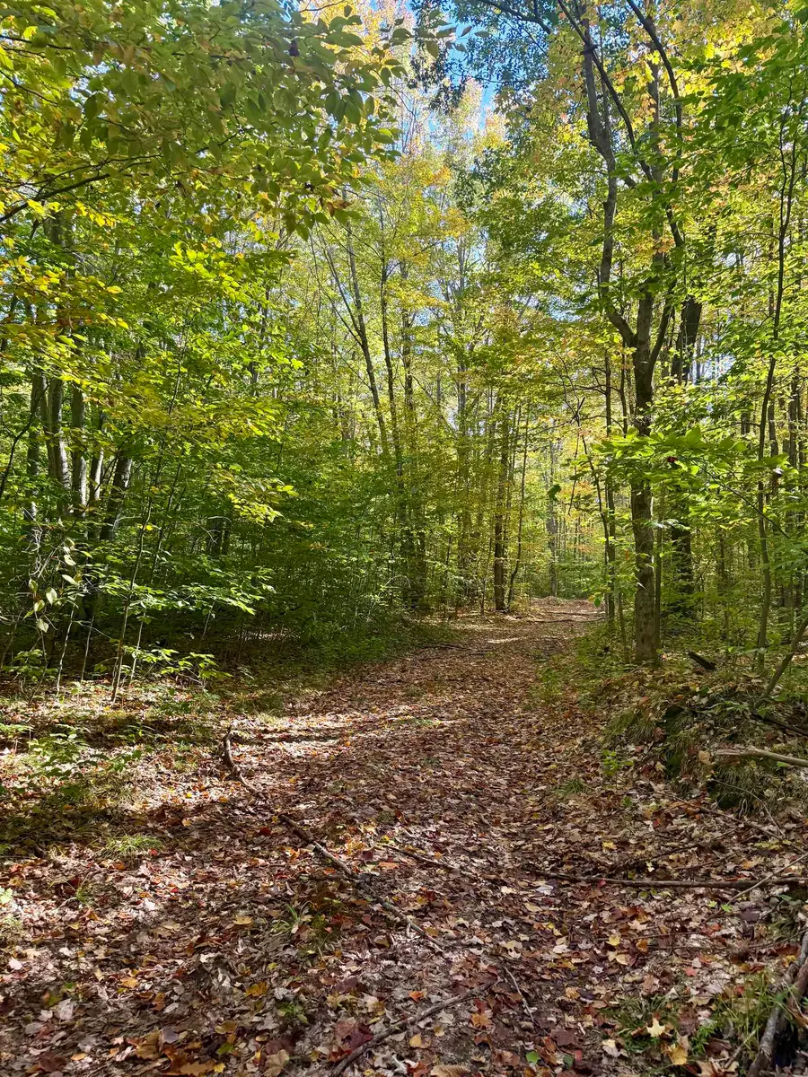 000 Bear, Kalkaska, MI 49646 - Image #3