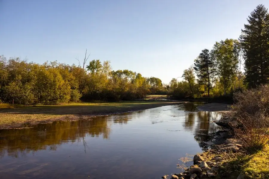 121 Haddix #Lot: 3 lots, Barryton, MI 49305 - Image #3