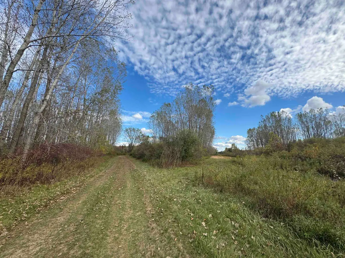 3331 Geneva, Saint Louis, MI 48880 - #1