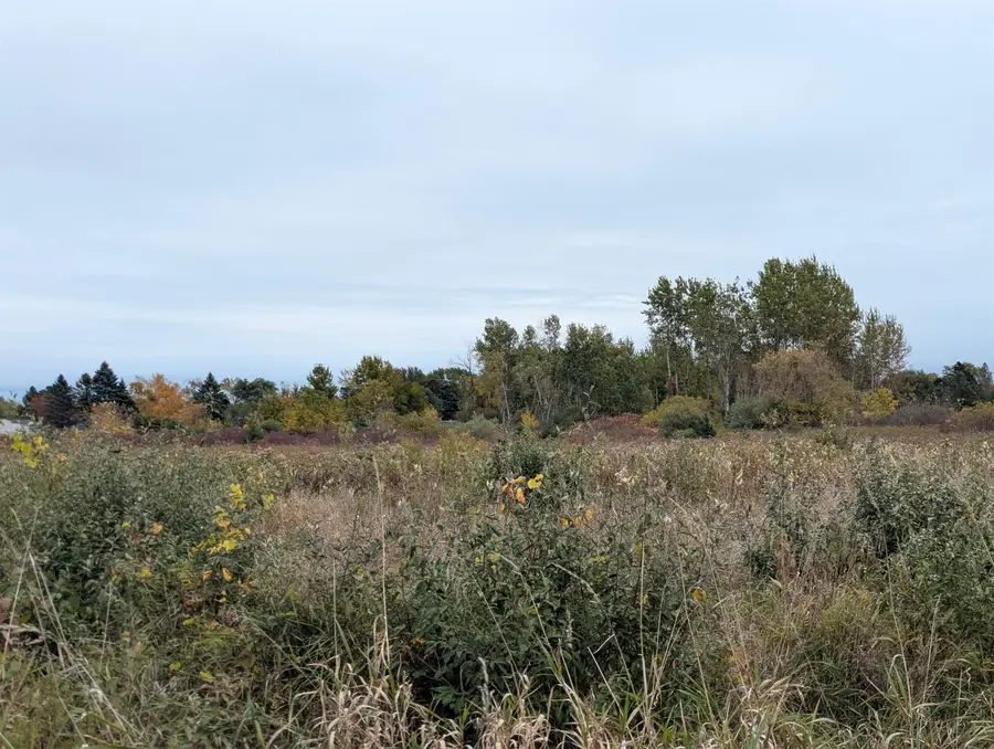 N/A Court, Au Gres, MI 48703 - #2