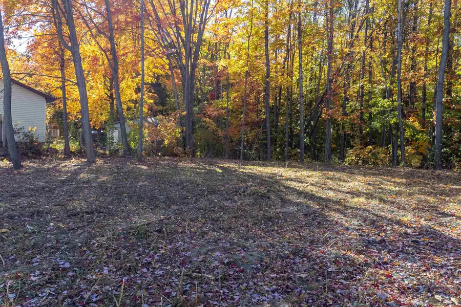 223 Alexander, Cadillac, MI 49601 - Image #2