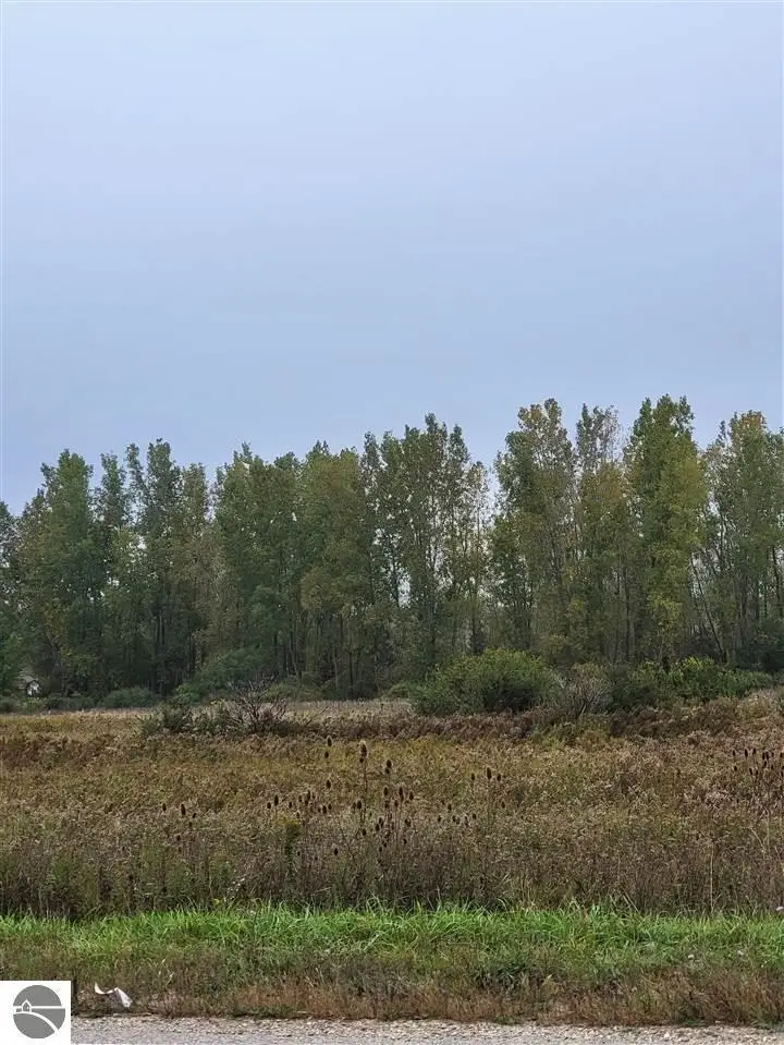 tbd W Broomfield, Mount Pleasant, MI 48858 - Image #3