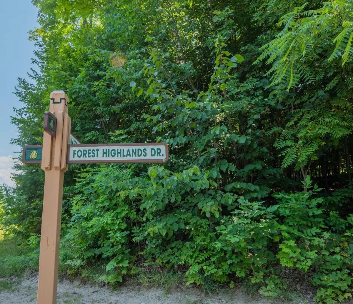 Lot 165 Forest Highlands, Bellaire, MI 49615 - #1