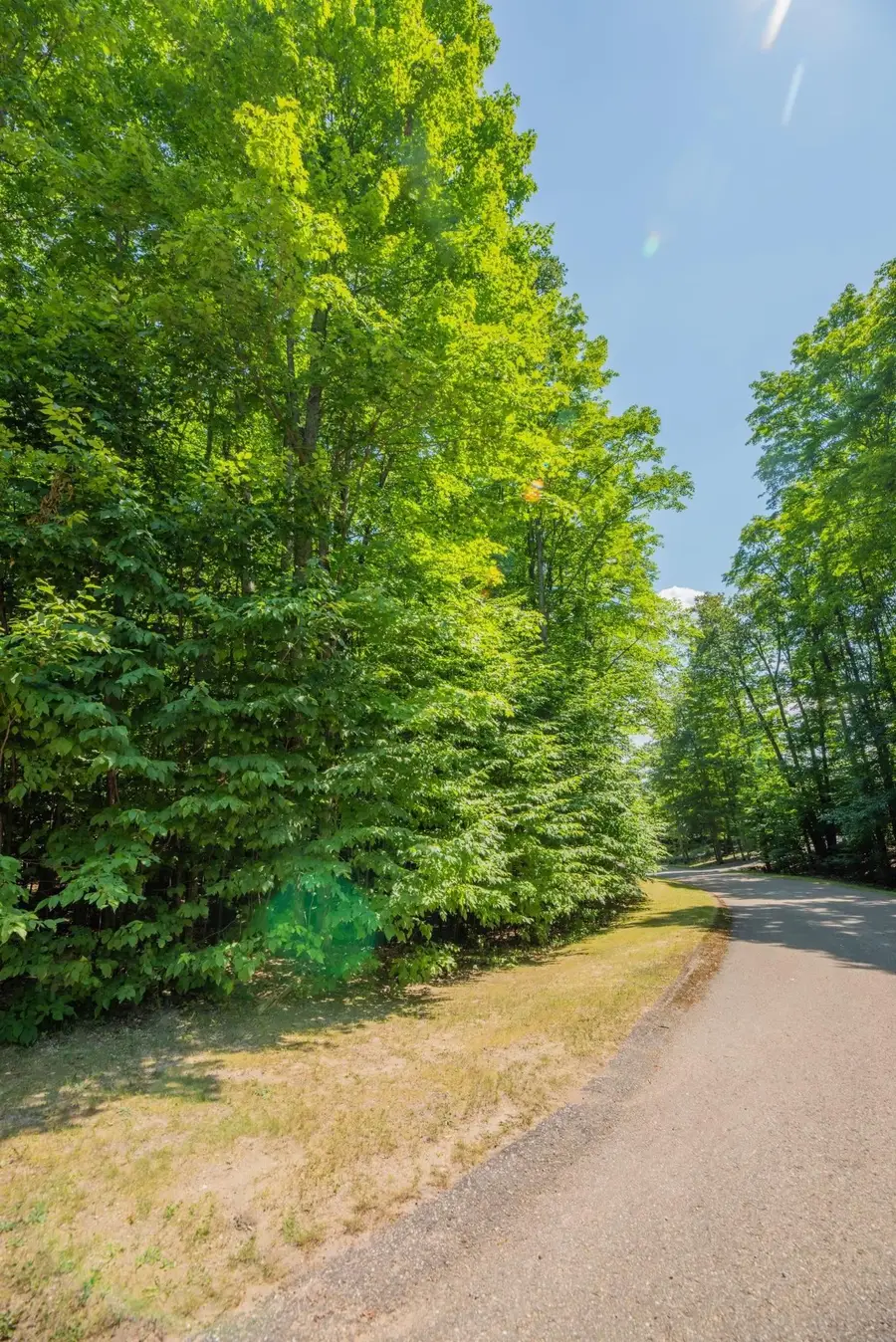 Lot 165 Forest Highlands, Bellaire, MI 49615 - #2