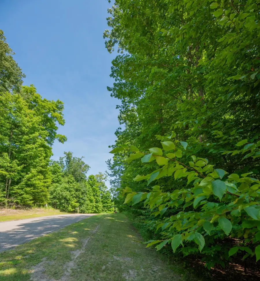 Lot 165 Forest Highlands, Bellaire, MI 49615 - #3