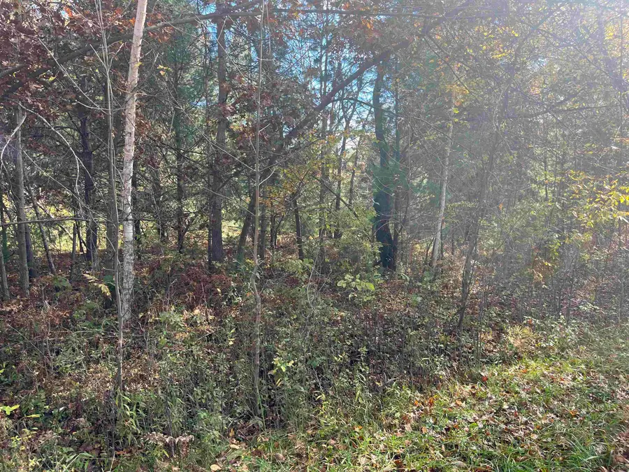 NKA Husak, Omer, MI 48749 - Image #3