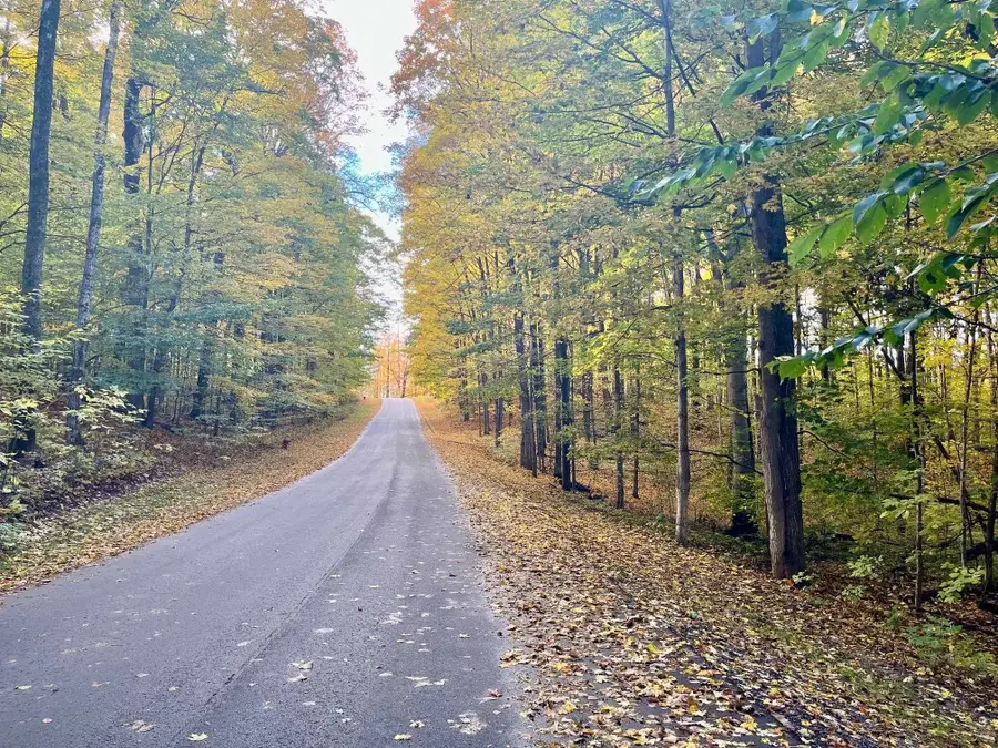 V/L 51 Troon South, Bellaire, MI 49615 - Image #3