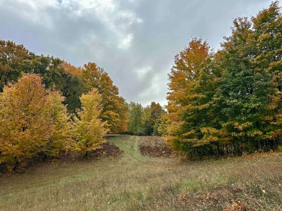 40.6 Acres Off E Popa, Cedar, MI 49621 - Image #2