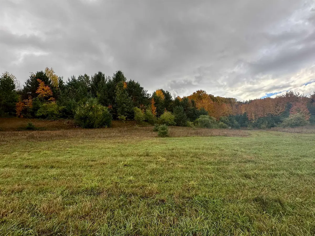 2.4 Acres off E Popa, Cedar, MI 49621 - Image #1