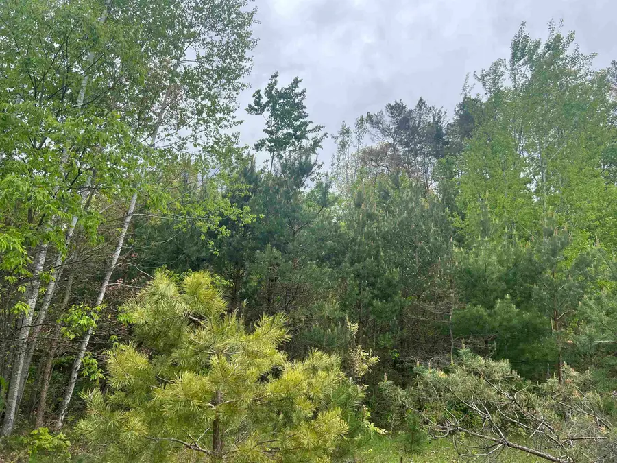 Lot 388 Wyndwood, Mancelona, MI 49659 - Image #3