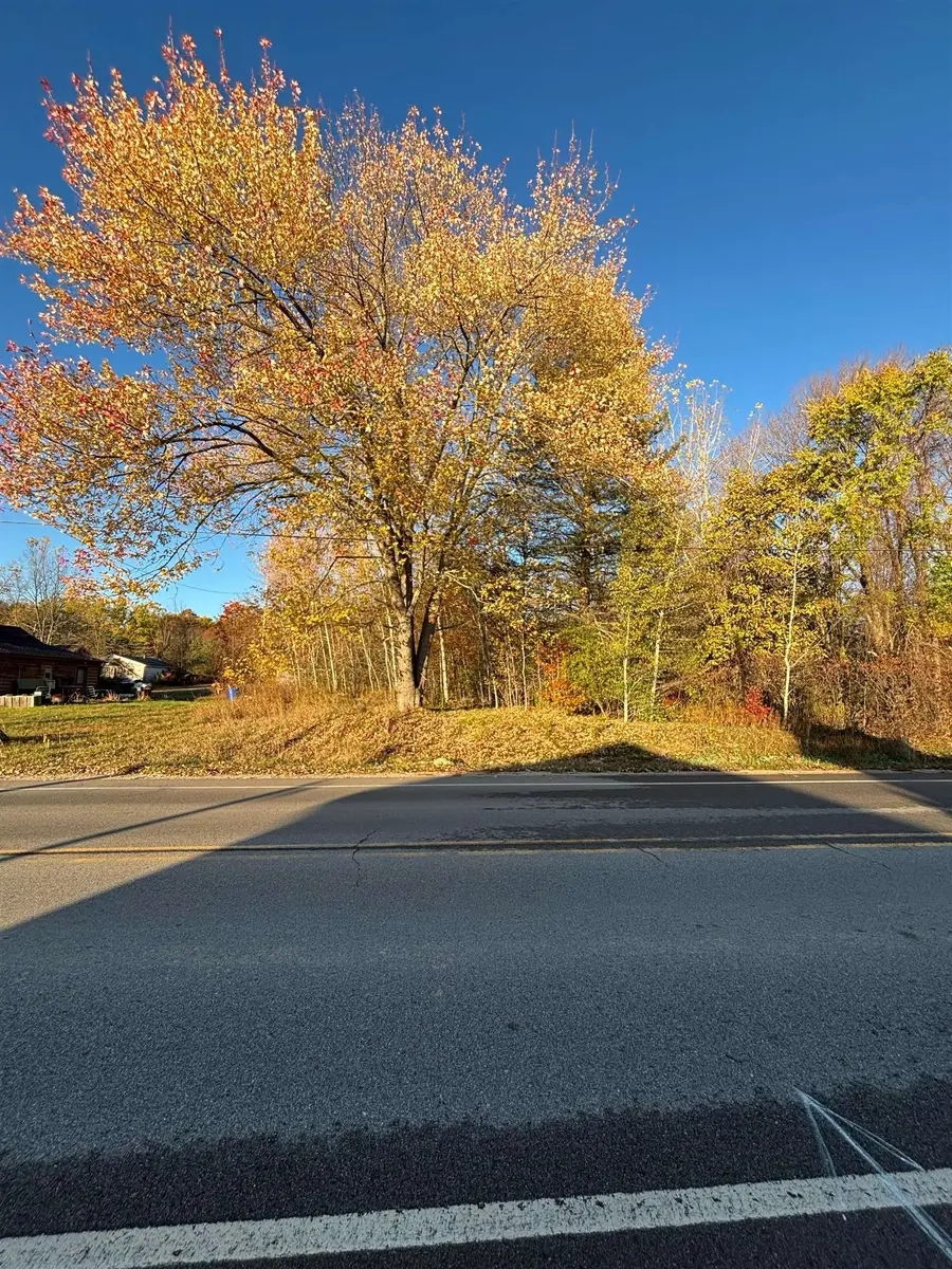 8698 Old State, Farwell, MI 48622 - #3