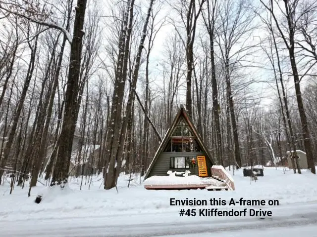 45 Kliffendorf, Bellaire, MI 49615 - #2