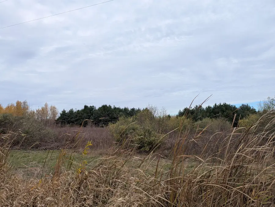 N/A Manor, Au Gres, MI 48703 - Image #2